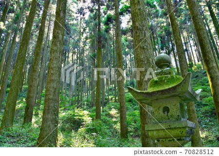 Kamishikimi Kumanoza Shrine Aso Kamishikimi Kumanoza Shrine Aso 70828512