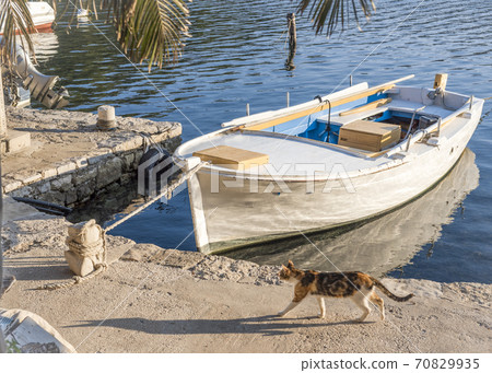 A view of fishing boat on the internal freshwater lake Veliko Jezero, Mljet island, Croatia 70829935