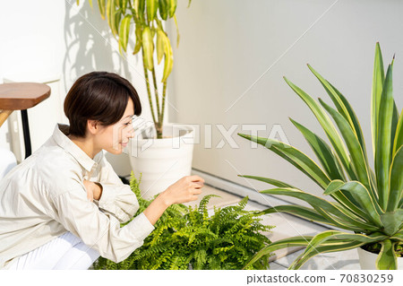 A woman enjoying gardening on the balcony A woman enjoying gardening on the balcony 70830259