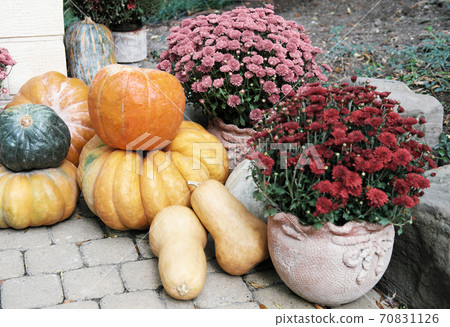 Thanksgiving decorated garden Thanksgiving decorated garden 70831126