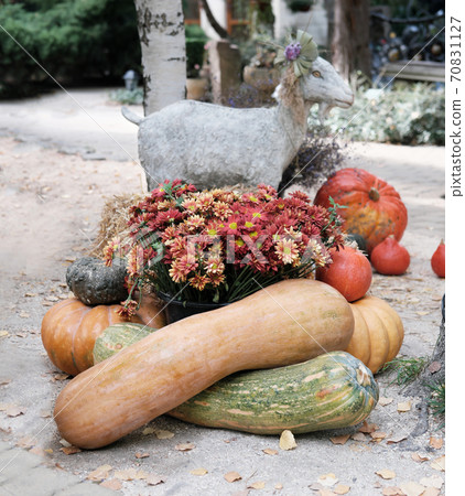 Thanksgiving decorated garden Thanksgiving decorated garden 70831127