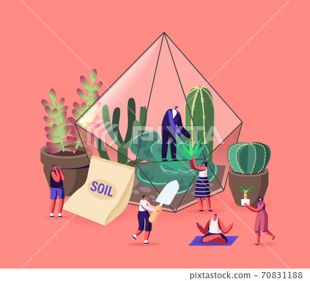 Tiny Male and Female Characters Grow Succulents in Pots at Home, Gardening, Planting Hobby Growing Plants in Terrarium 70831188