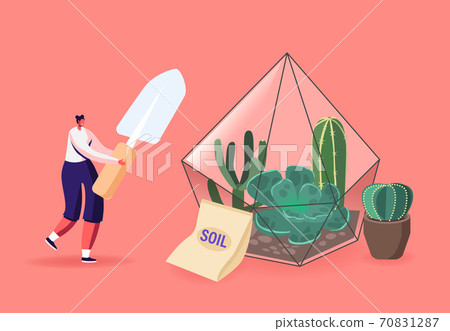 Home Gardening, Growing Plants in Terrarium. Female Character with Spade Planting Succulents. Botanist Planting Flowers Home Gardening, Growing Plants in Terrarium. Female Character with Spade Planting Succulents. Botanist Planting Flowers 70831287
