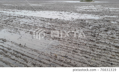 A field plowed by a tractor after a downpour and rain 70831319
