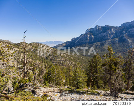 Sunny landscape of the Bristlecone Trail Sunny landscape of the Bristlecone Trail 70833389