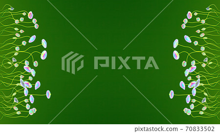 Floral Background. Colorful Flowers On Green Background 70833502