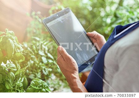 Man holding tablet with active screen in greenhouse Man holding tablet with active screen in greenhouse 70833897
