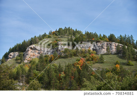 A top view of colourful forest trees and lake in the autumn season. 70834881