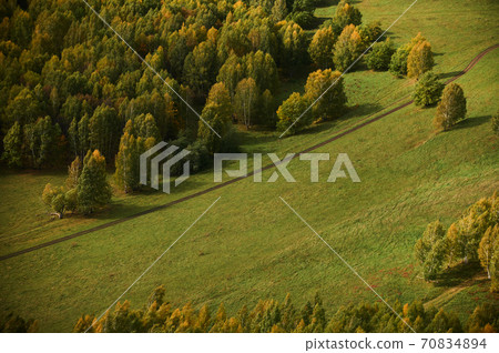 A top view of colourful forest trees and lake in the autumn season. 70834894