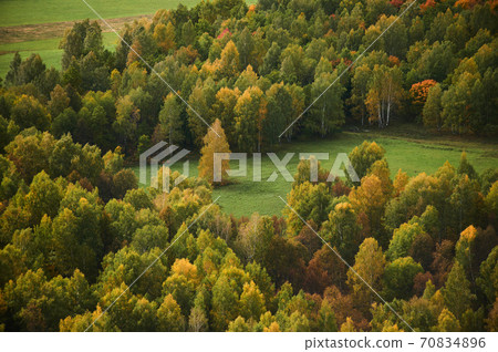 A top view of colourful forest trees and lake in the autumn season. 70834896