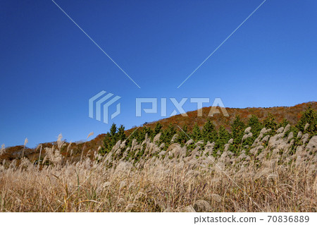 Chausan Kogen Susuki Chausan Kogen Susuki 70836889