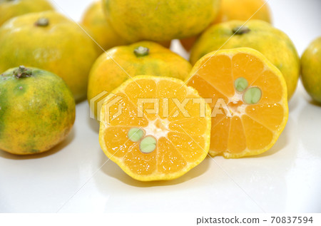 Cross section of yellow citrus depressa cut 70837594