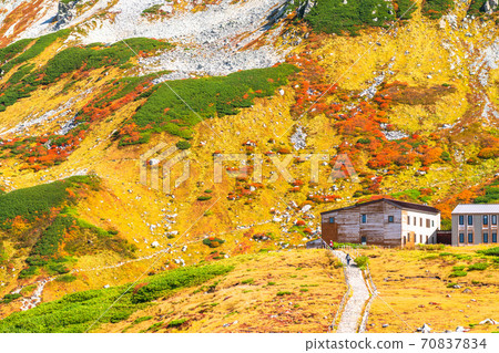 《Toyama Prefecture》 Murodo / Tateyama Kurobe Alpine Route during the peak of autumn colors 70837834