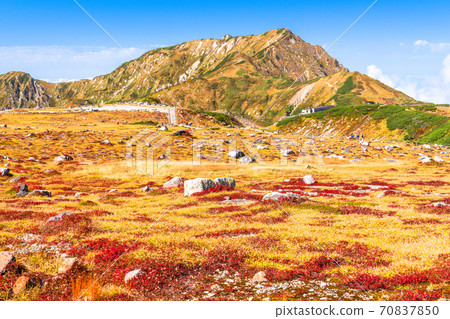 《Toyama Prefecture》 Murodo / Tateyama Kurobe Alpine Route during the peak of autumn colors 《Toyama Prefecture》 Murodo / Tateyama Kurobe Alpine Route during the peak of autumn colors 70837850