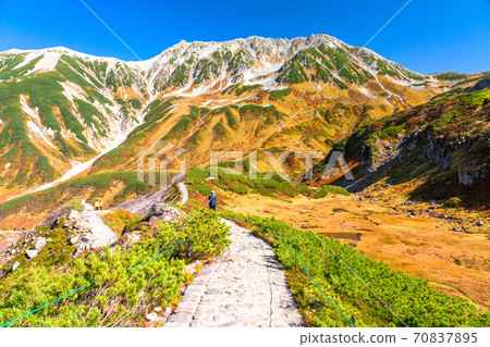 《Toyama Prefecture》 Murodo / Tateyama Kurobe Alpine Route during the peak of autumn colors 70837895