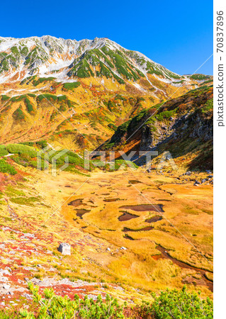 《富山縣》室堂/立山黑部高山路線 70837896