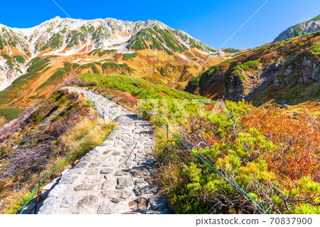 《Toyama Prefecture》 Murodo / Tateyama Kurobe Alpine Route during the peak of autumn colors 70837900