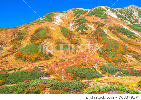 《Toyama Prefecture》 Murodo / Tateyama Kurobe Alpine Route during the peak of autumn colors 70837917