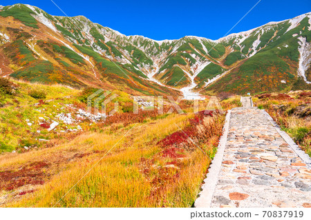 《富山縣》室堂/立山黑部高山路線 70837919