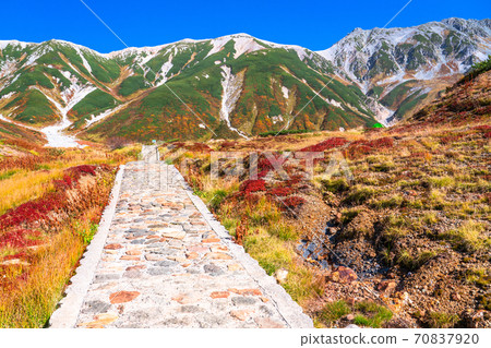 《Toyama Prefecture》 Murodo / Tateyama Kurobe Alpine Route during the peak of autumn colors 70837920