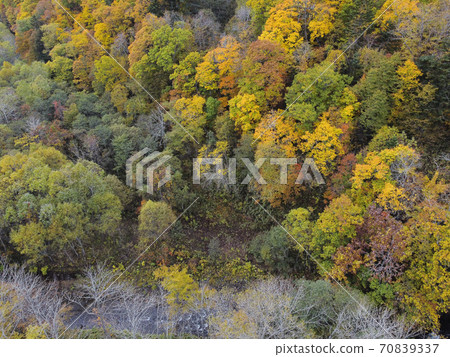 Autumn leaves around Jozankei, Hokkaido (aerial view) 70839337