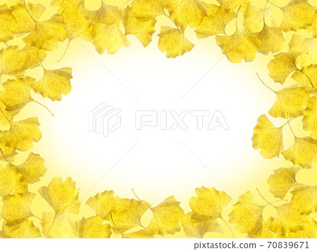銀杏葉秋圖像背景素材 插圖素材 圖庫 銀杏葉秋圖像背景素材 插圖素材 圖庫