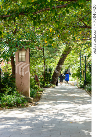 花Michi 花Michi 70840420