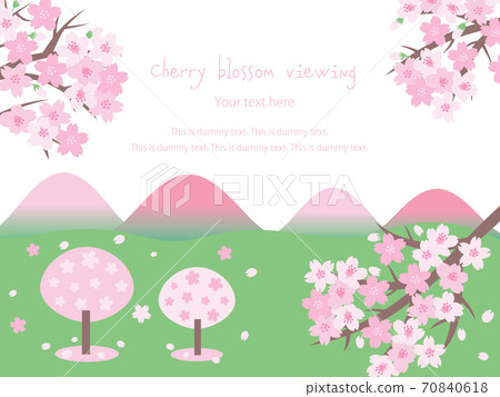 櫻花盛開 70840618