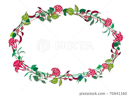 Celosia flower frame 70841160