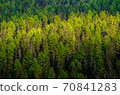 Beautiful view of famous Carezza lake at dolomite mountain, Italy. 70841283