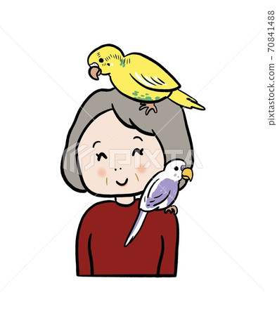 Senior woman with parakeets on her shoulders and head 70841488
