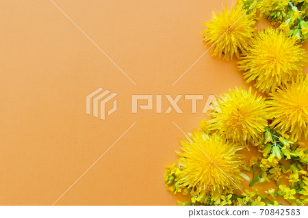 Yellow dandelions and wild flowers on yellow-orange background. Copy space, free place feo text or product. Mockup, top view 70842583