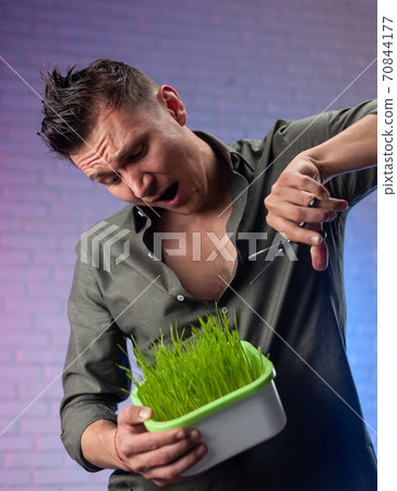 a man holds a seed germinator with growing green wheat and scissors a man holds a seed germinator with growing green wheat and scissors 70844177