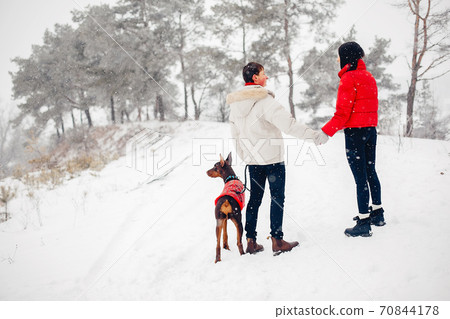 Loving couple walking in a winter park Loving couple walking in a winter park 70844178