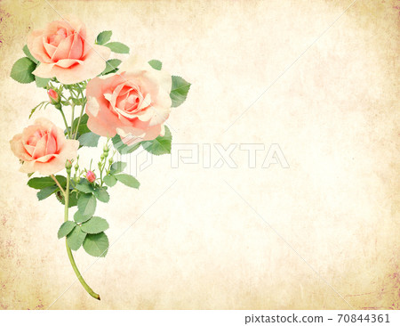 Vintage romantic card with old paper texture and rose 70844361