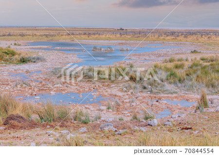 landscape namibia Etosha game reserve landscape namibia Etosha game reserve 70844554