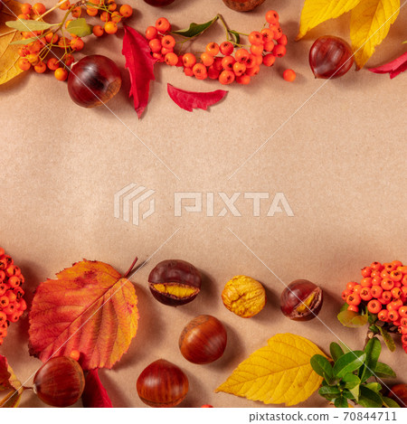 Square autumn design template with autum leaves, chestnuts and a place for text, shot from above Square autumn design template with autum leaves, chestnuts and a place for text, shot from above 70844711
