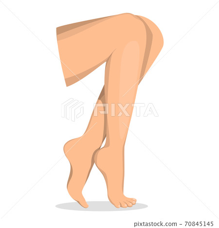 Beautiful female legs vector isolated. Body care 70845145