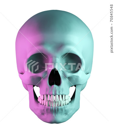 Human anatomical violet-blue skull isolated on white background, 3d render 70845548