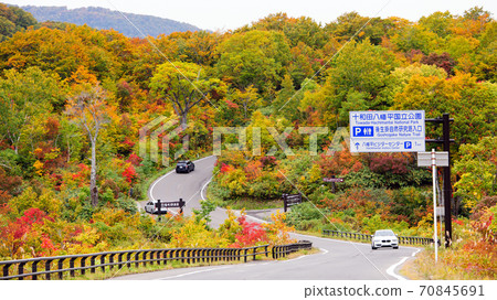 Autumn Aspite line drive with a superb view Autumn Aspite line drive with a superb view 70845691