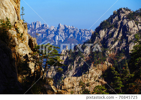 Seoraksan Maple in Seomyeon Yangyang-gun, Gangwon-do, Korea 70845725