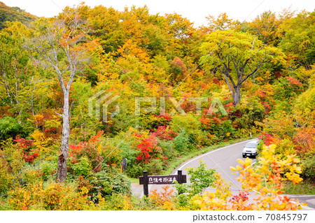 Autumn Aspite line drive with a superb view 70845797