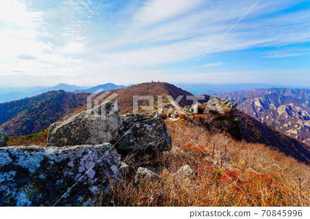 Seoraksan Maple in Seomyeon Yangyang-gun, Gangwon-do, Korea 70845996