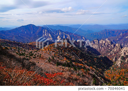 Seoraksan Maple in Seomyeon Yangyang-gun, Gangwon-do, Korea 70846041