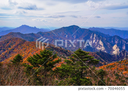 Seoraksan Maple in Seomyeon Yangyang-gun, Gangwon-do, Korea 70846055