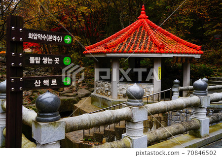 South Korea Gangwon-do, Jeongseon-gun, Nam-myeon, Mindongsan silver grass South Korea Gangwon-do, Jeongseon-gun, Nam-myeon, Mindongsan silver grass 70846502