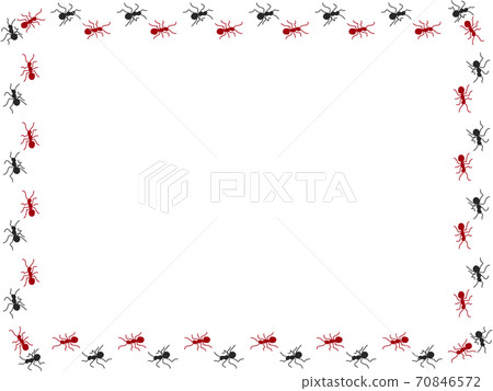 Ant procession 5 70846572