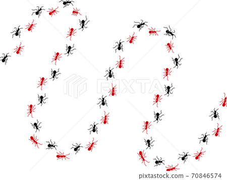 Ant procession 3 70846574