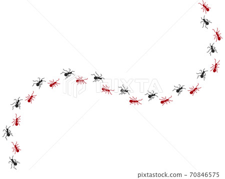 阿里的遊行2 70846575