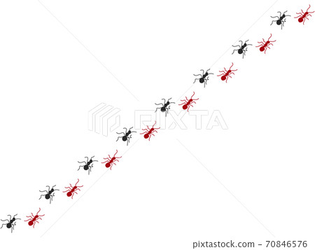 Ant matrix 1 70846576